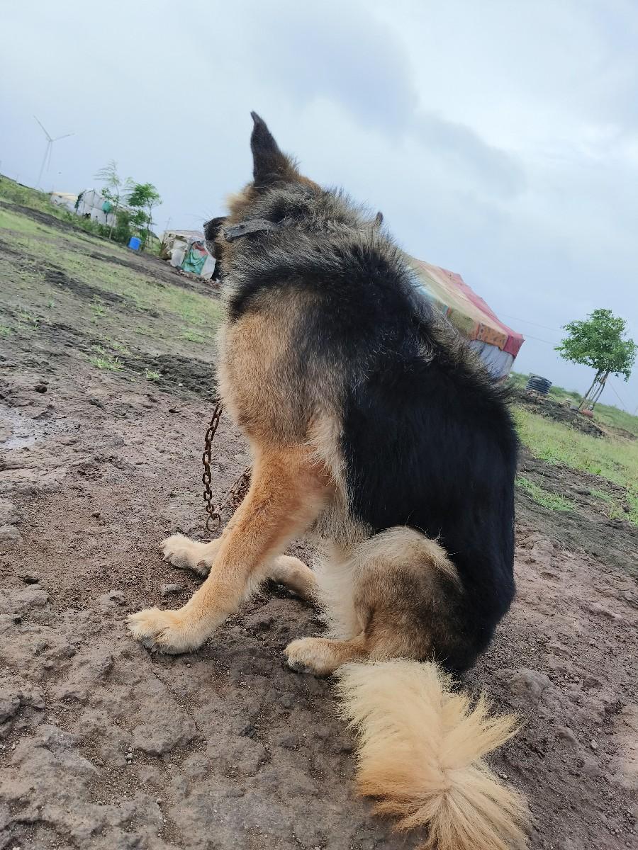 થંબનેલ 3