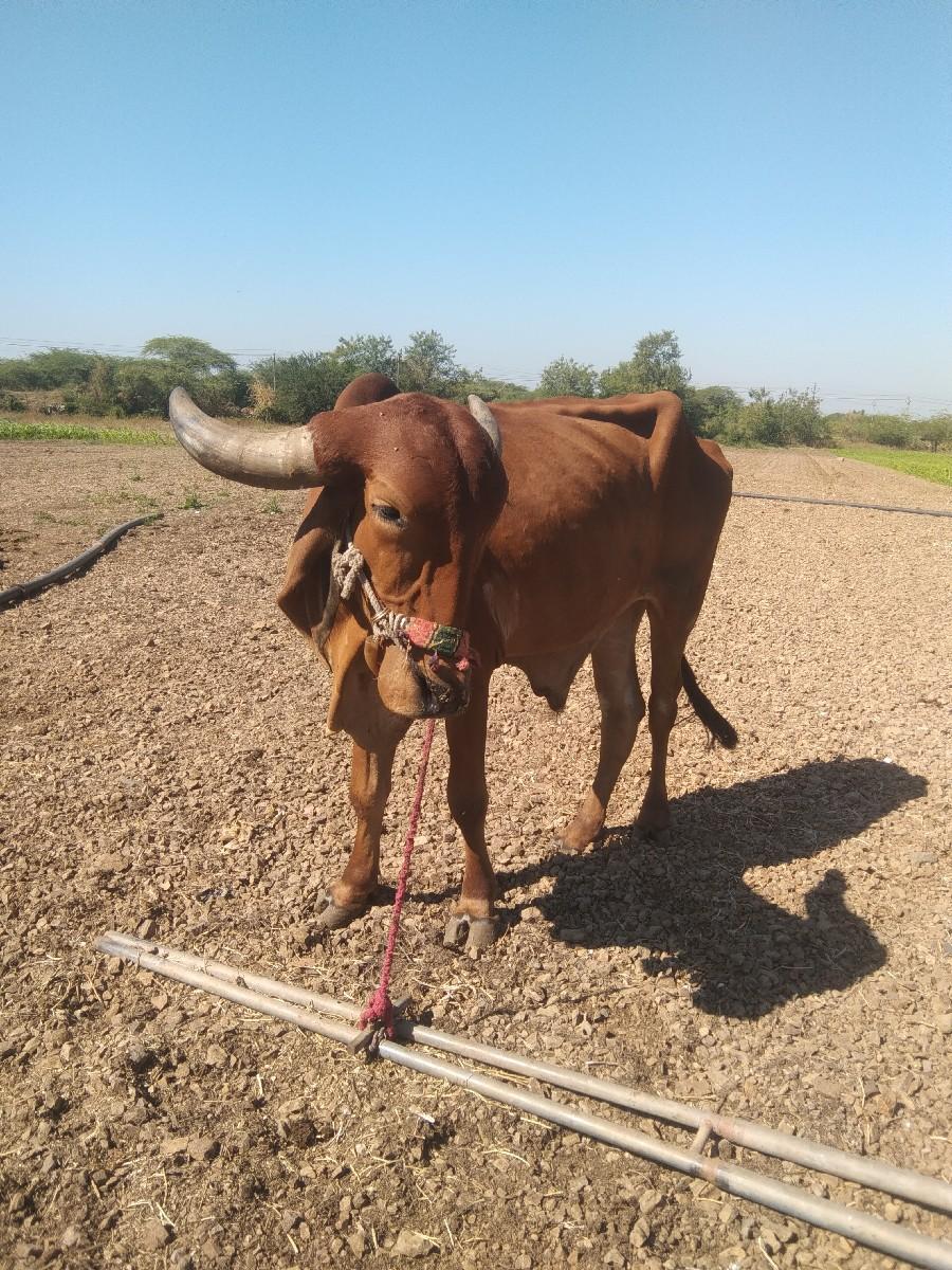 थंबनेल 2