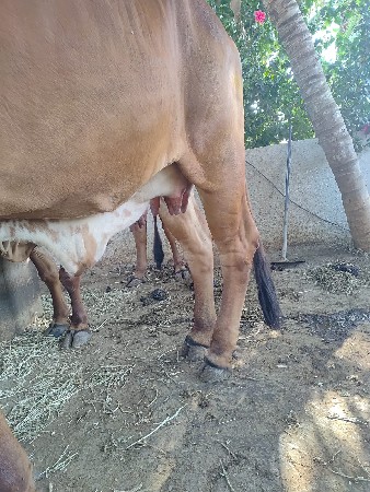 થંબનેલ 2