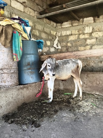 थंबनेल 2