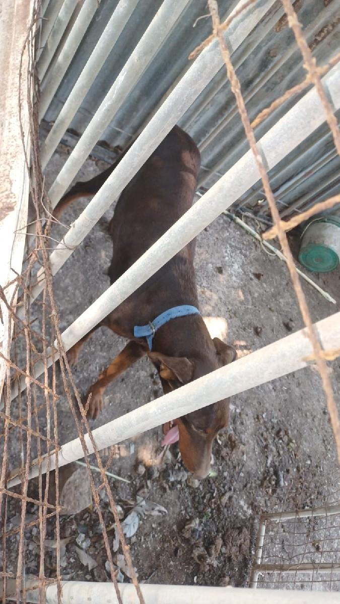 થંબનેલ 2