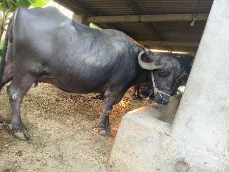 થંબનેલ 3