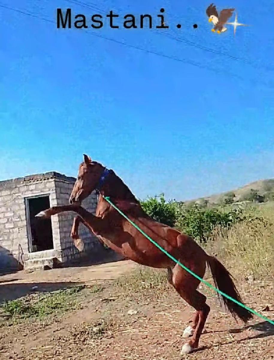 थंबनेल 3