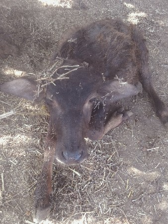 થંબનેલ 3