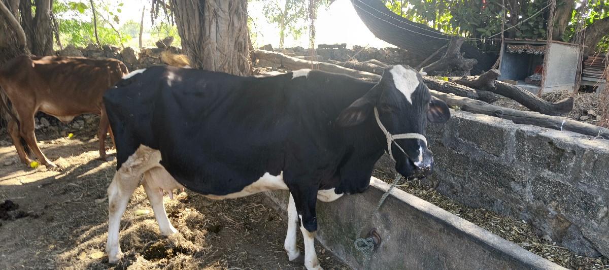 थंबनेल 2