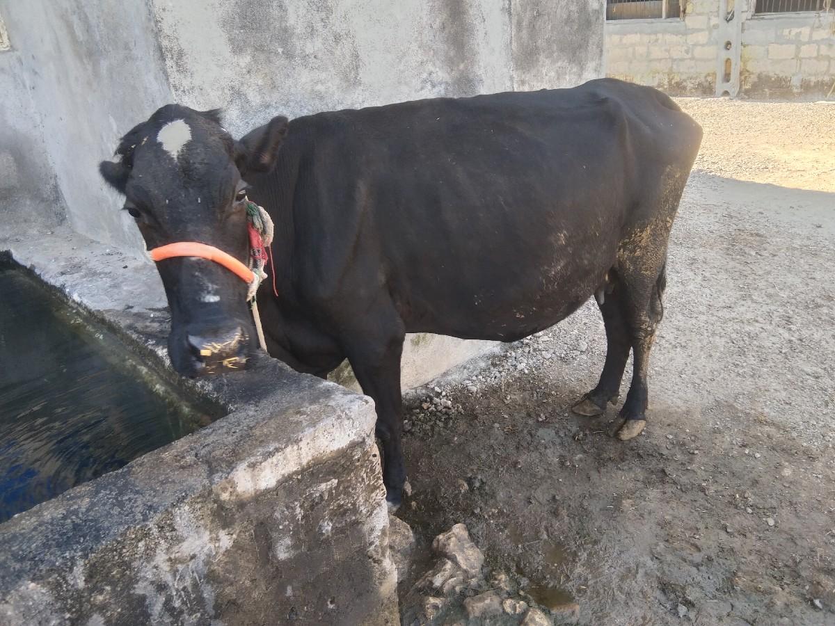 थंबनेल 2