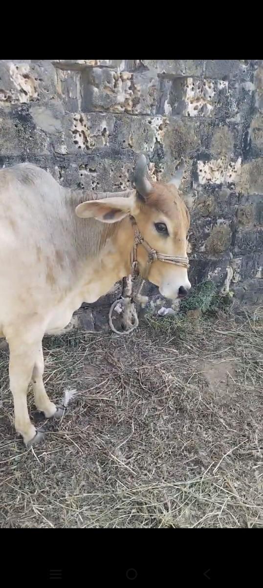 थंबनेल 3