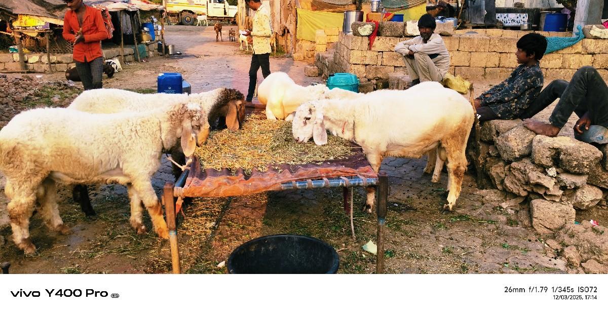 थंबनेल 2