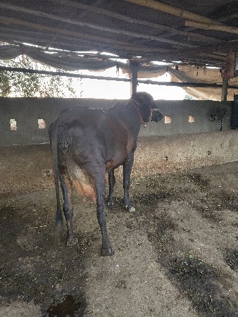 થંબનેલ 3