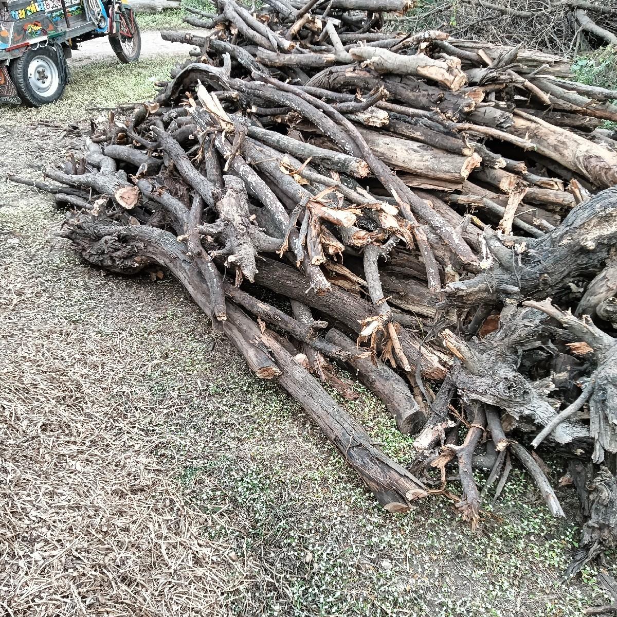 લાકડા વેચવાના છે