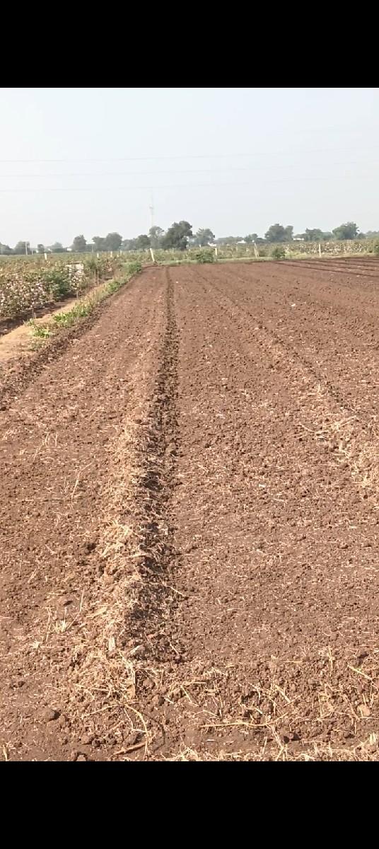 13 વીઘા જમીન