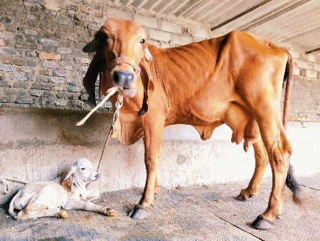 थंबनेल 3