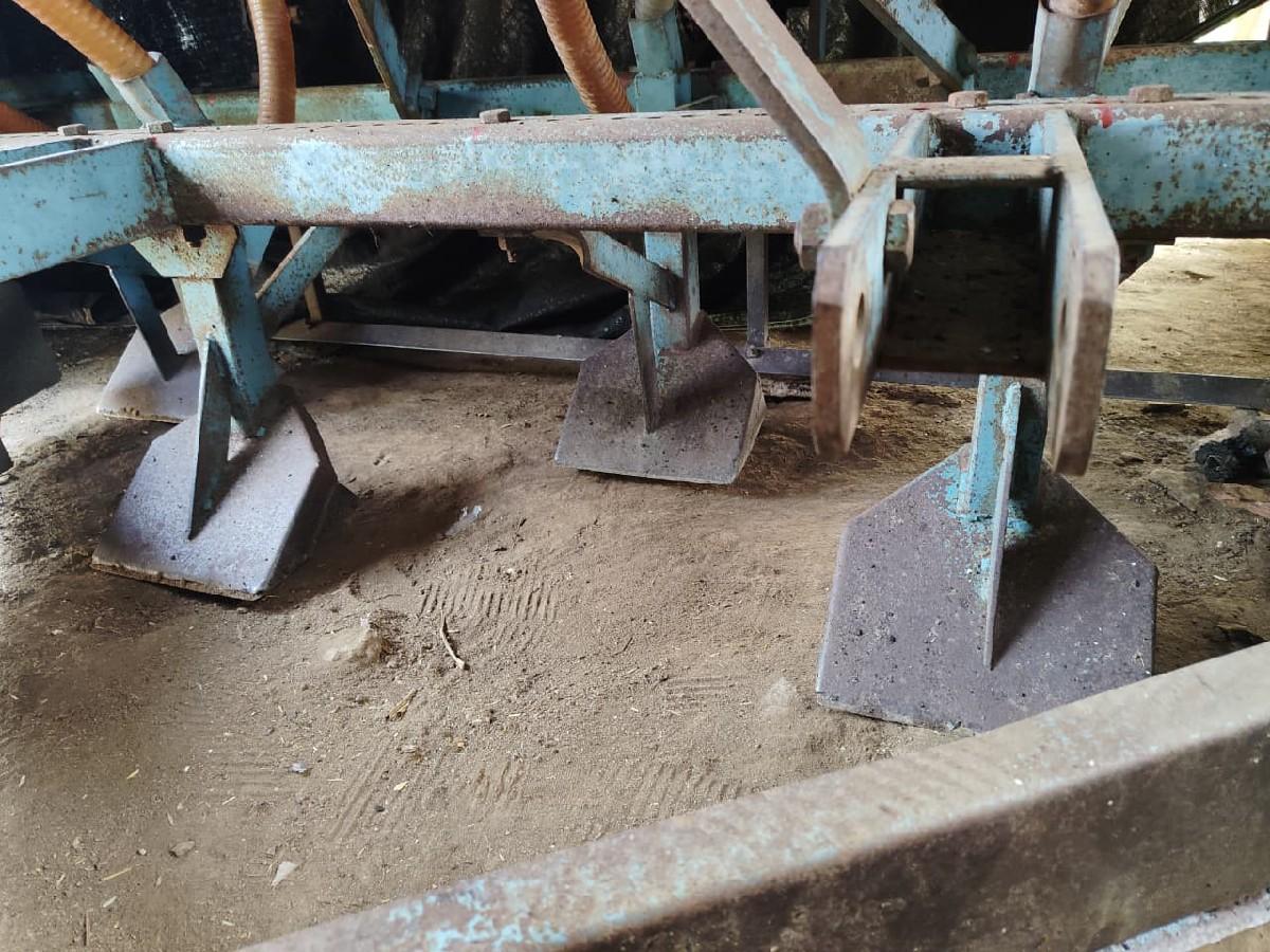 પાટલી યોગી રાજ ધારી વેસવાની છે