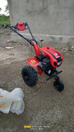 થંબનેલ 3