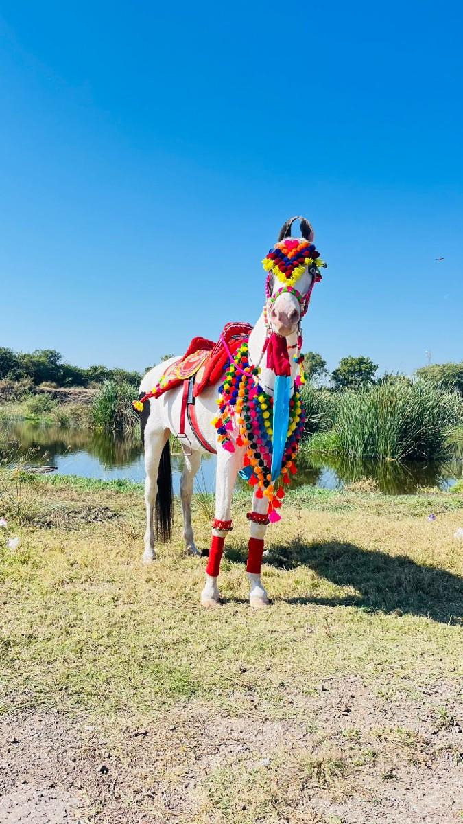 थंबनेल 2