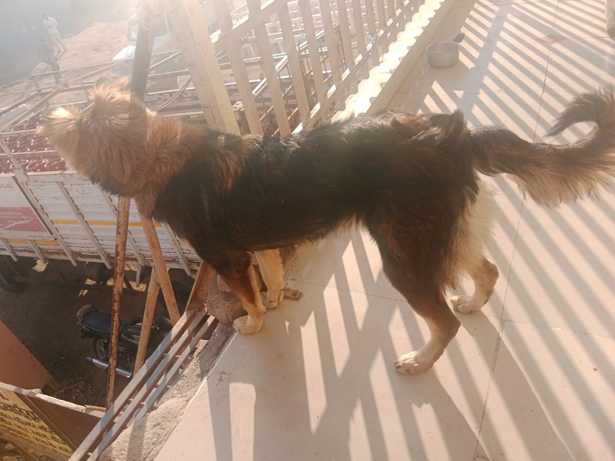 थंबनेल 2