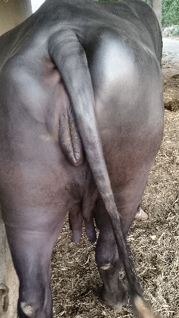 थंबनेल 2