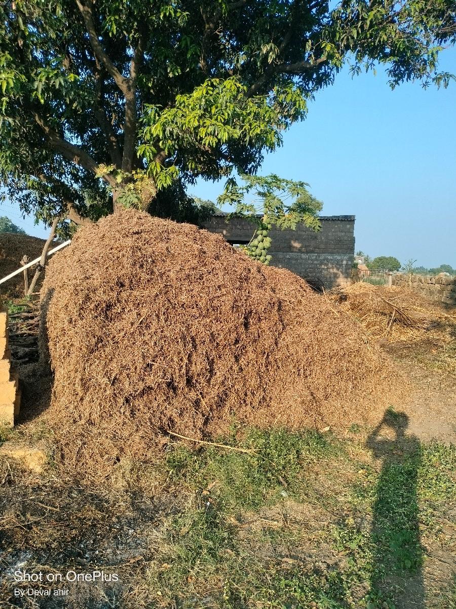 જુનો ભુકો વેંચવાનો છે