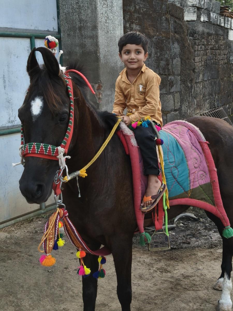 थंबनेल 3