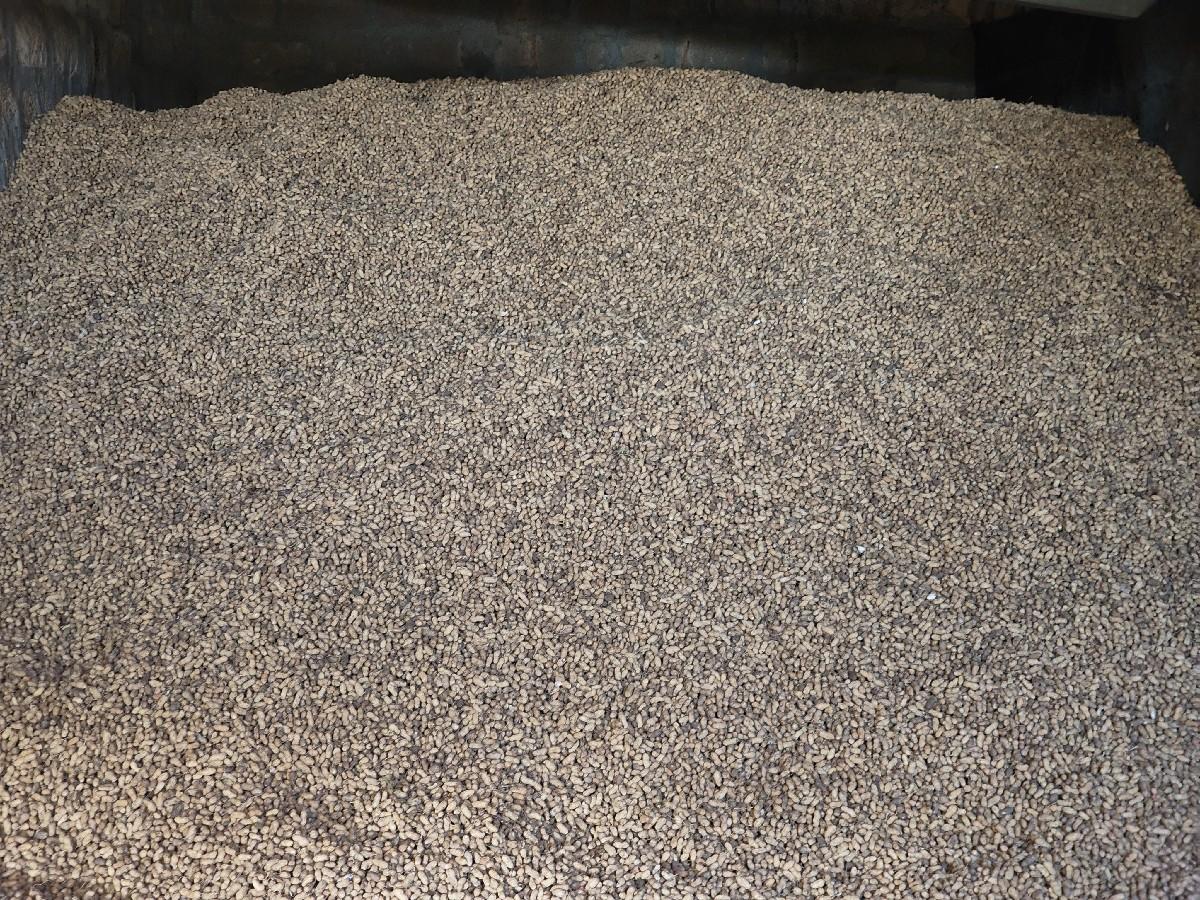 જી 22 સ. માંડવી કોરી