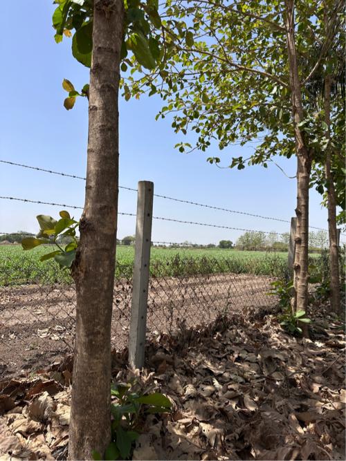 थंबनेल 2