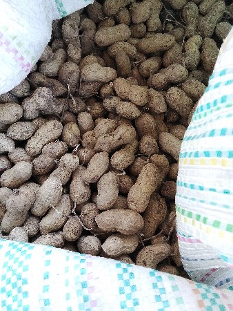 કિંમત,1450