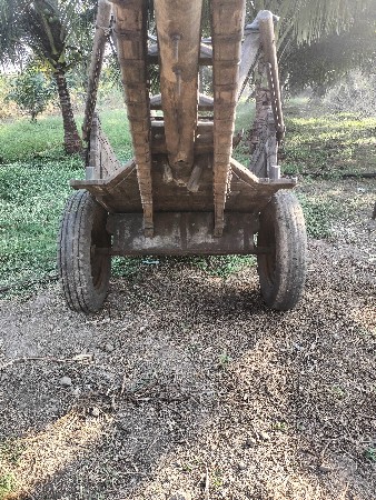 થંબનેલ 3