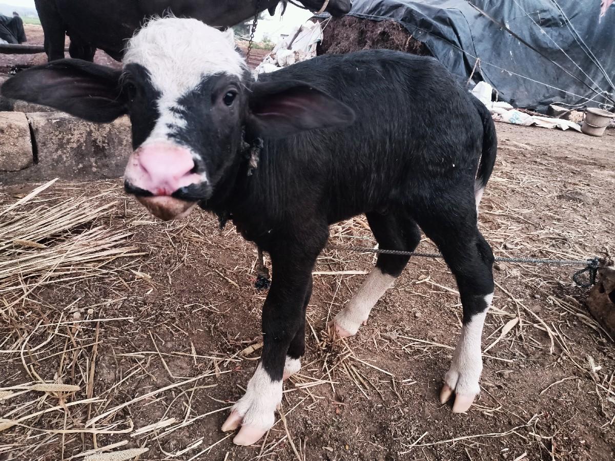 थंबनेल 3