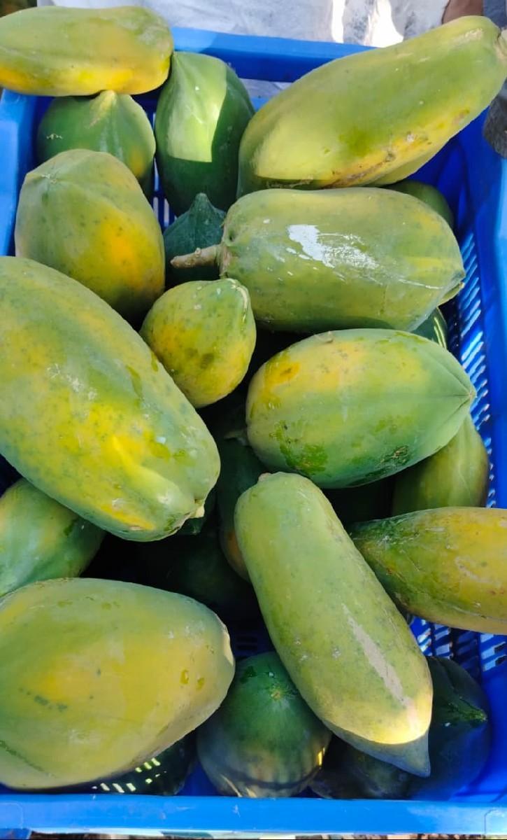 *જમીન લે વેચ માટે સંપર્ક કરો