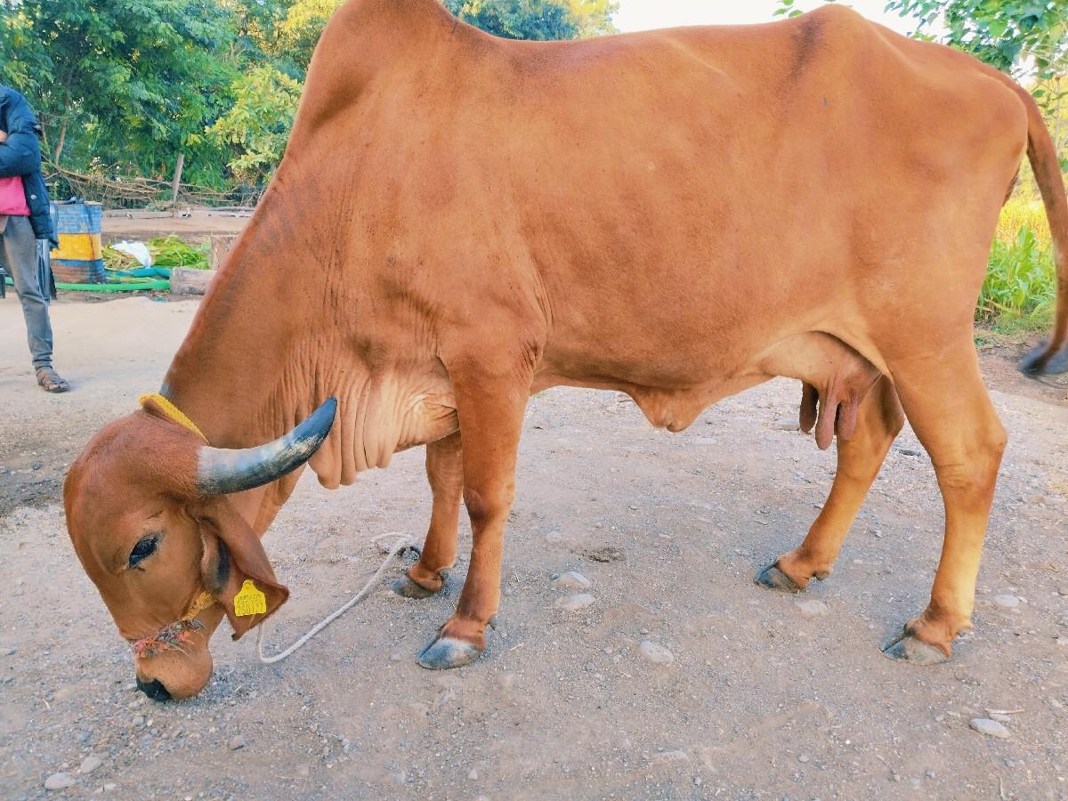 थंबनेल 3