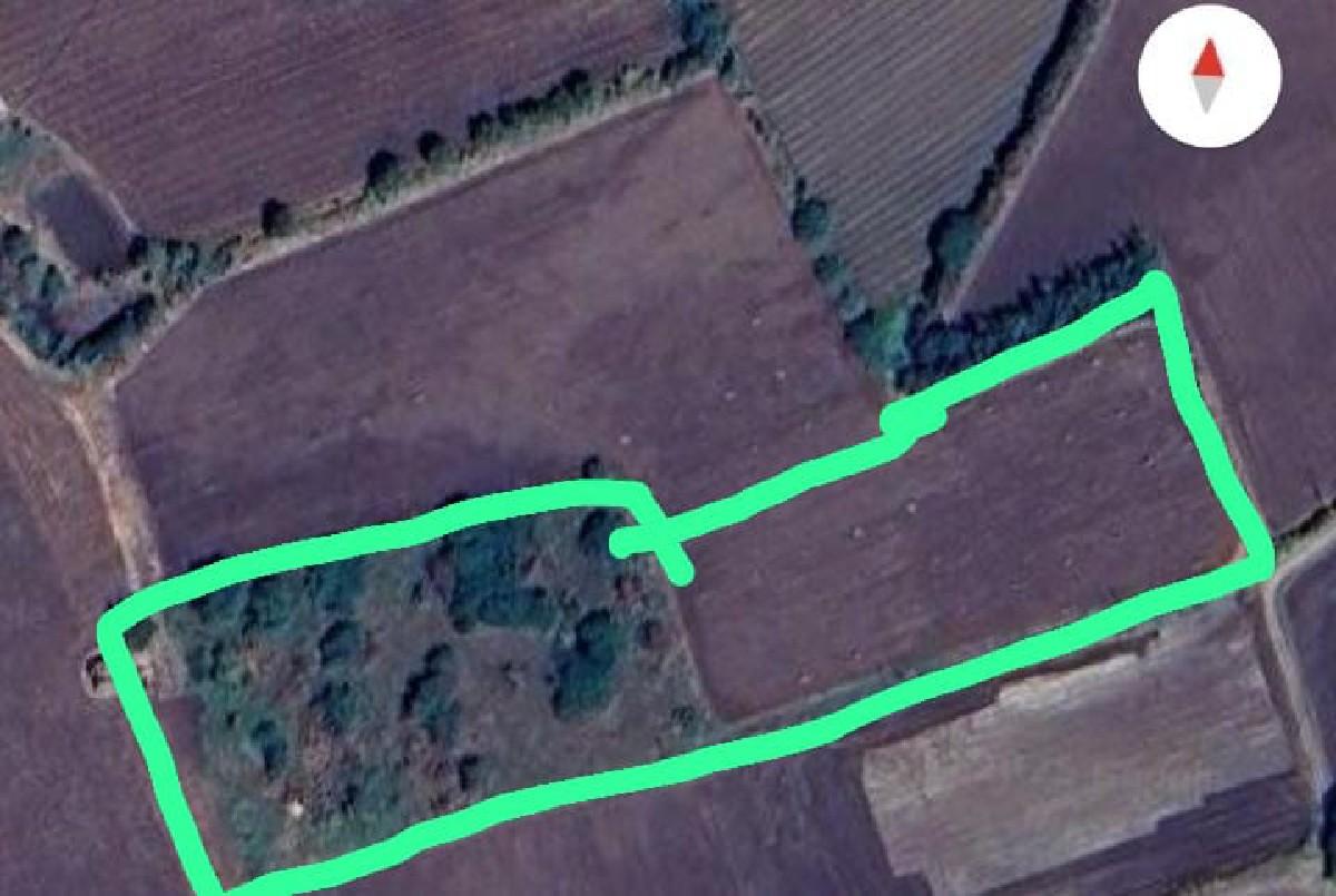 थंबनेल 3