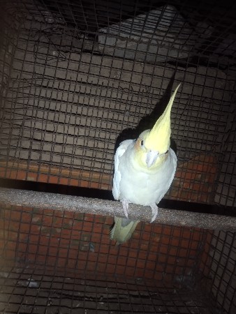 थंबनेल 2