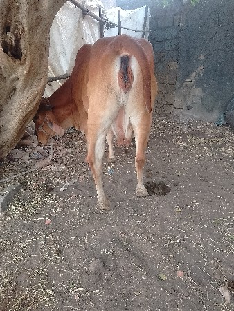 थंबनेल 3