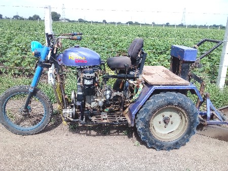 સનેડો વેસવાને છે