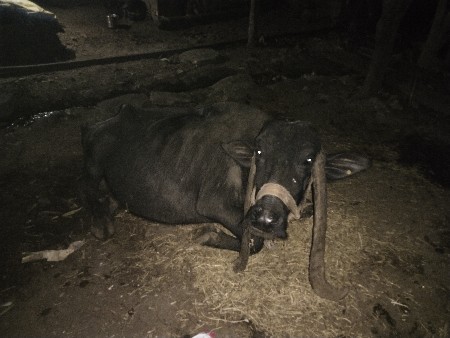 थंबनेल 3