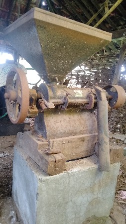 થંબનેલ 2