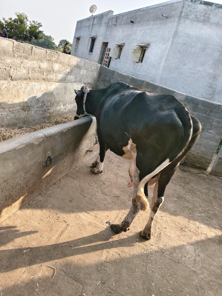 थंबनेल 2