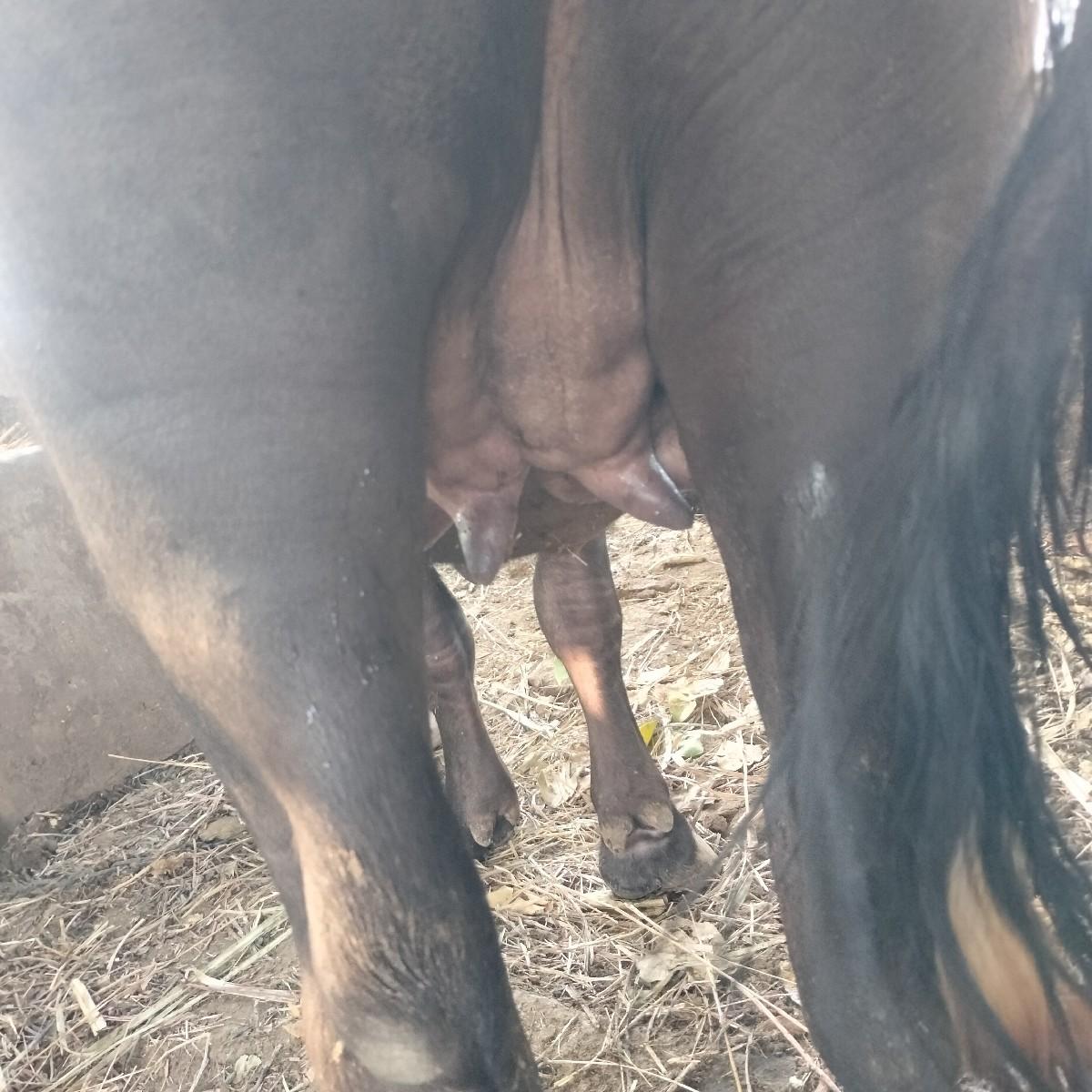 થંબનેલ 3