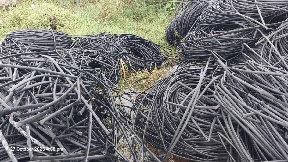 થંબનેલ 5