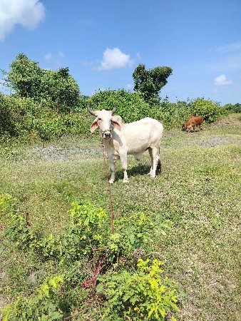 થંબનેલ 3