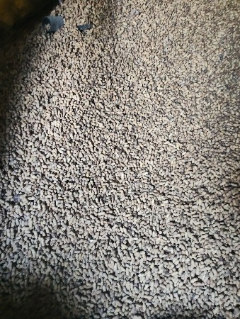 વેચવાની મગફળી જીવીશ