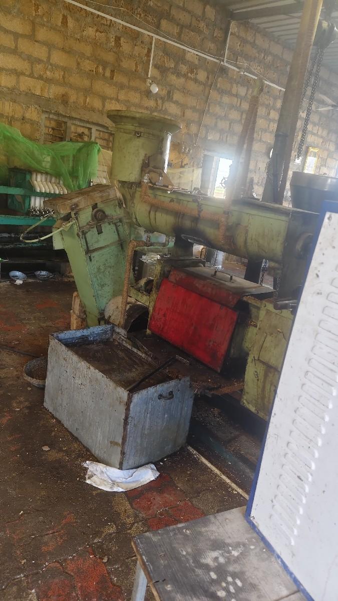 પટેલ ઘાણો