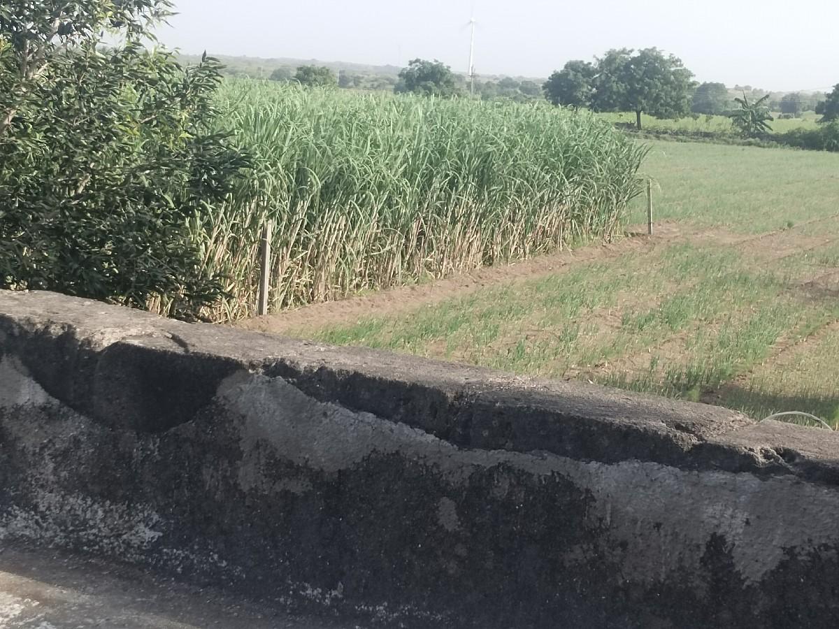 થંબનેલ 3