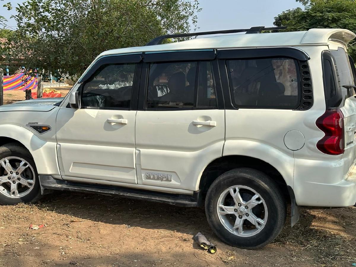 થંબનેલ 3