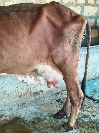 थंबनेल 2