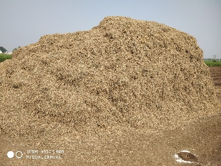 માંડવી નો ભૂકો વેચવાનો છે