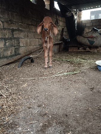 थंबनेल 3