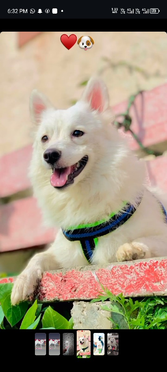 थंबनेल 3