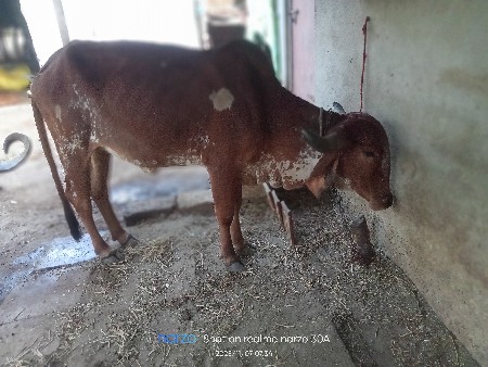 थंबनेल 3