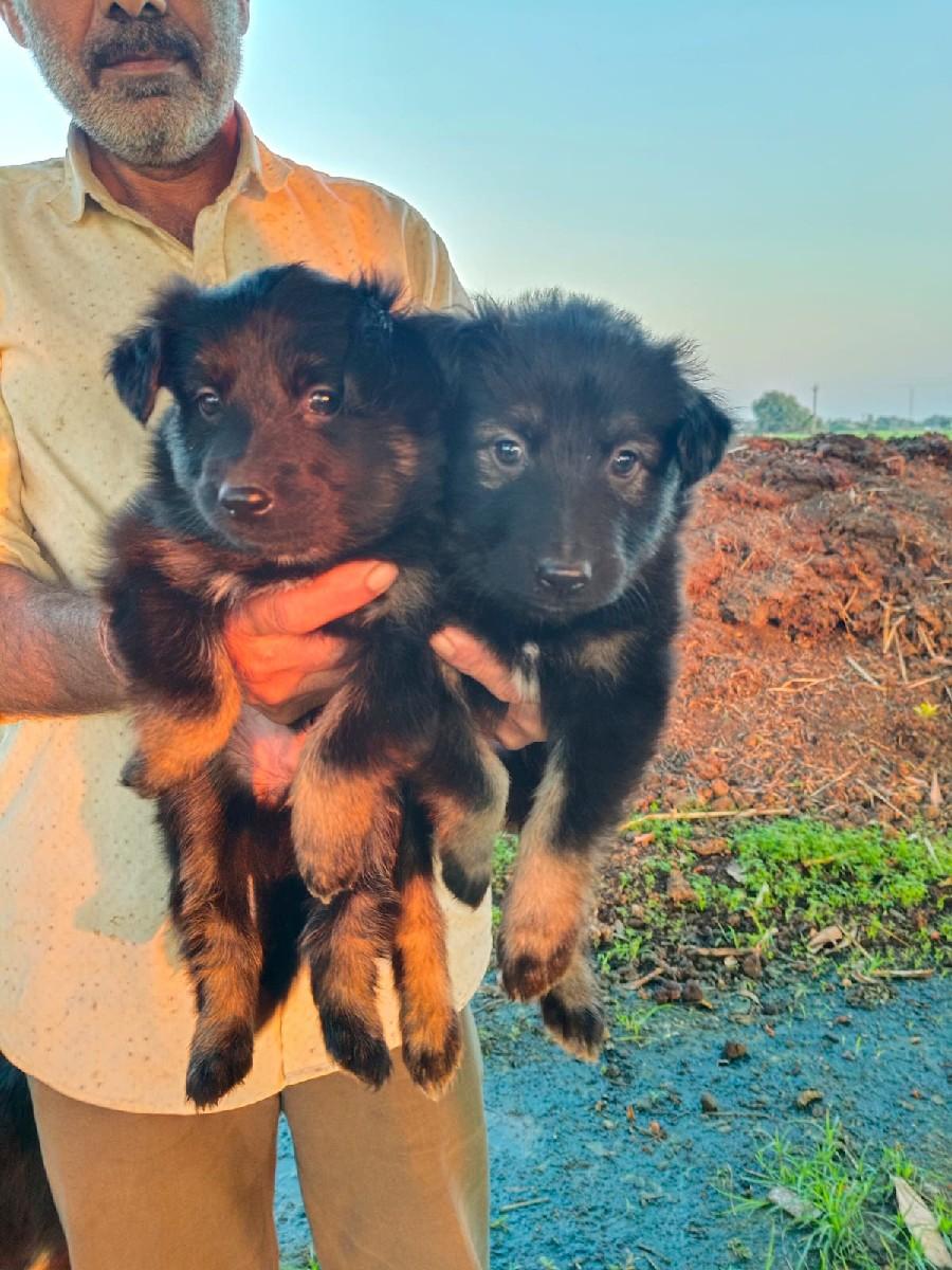 थंबनेल 2